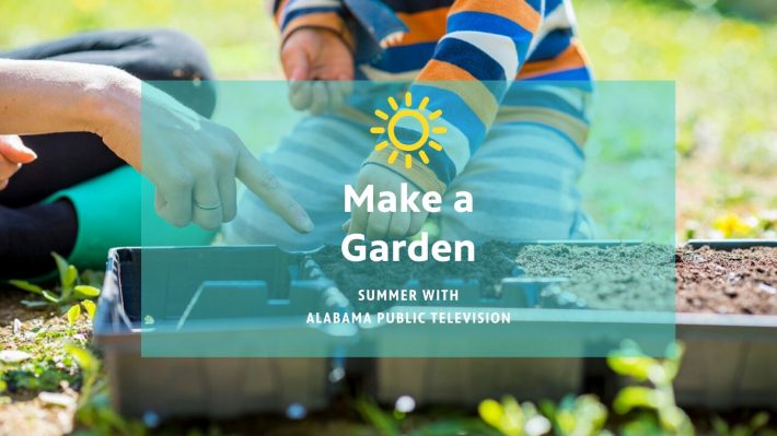 Make a Miniature Garden Make a Miniature Garden