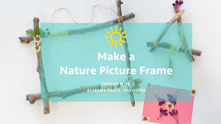 Nature Art Picture Frames Nature Art Picture Frames
