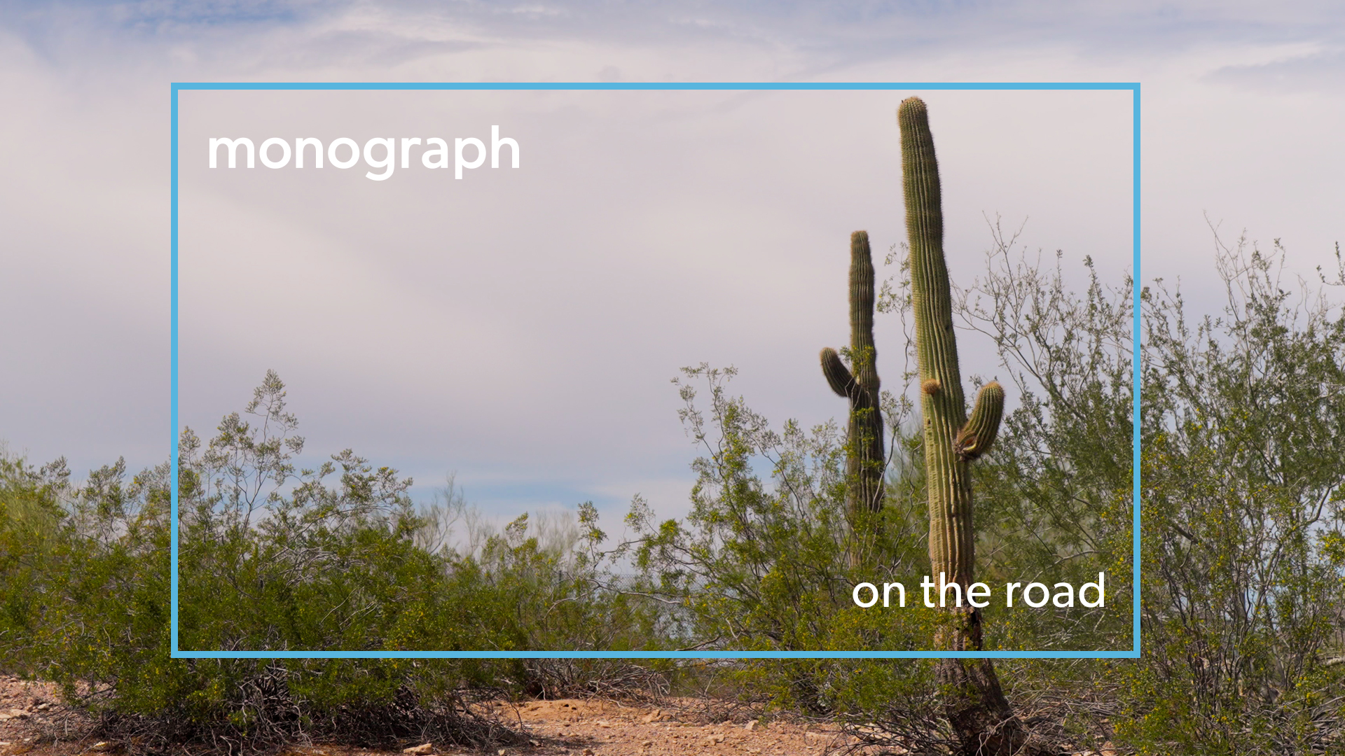 Photo of the a New Mexico dessert grasses and two skinny cactuses. White text on image reads: Monograph, On the Road