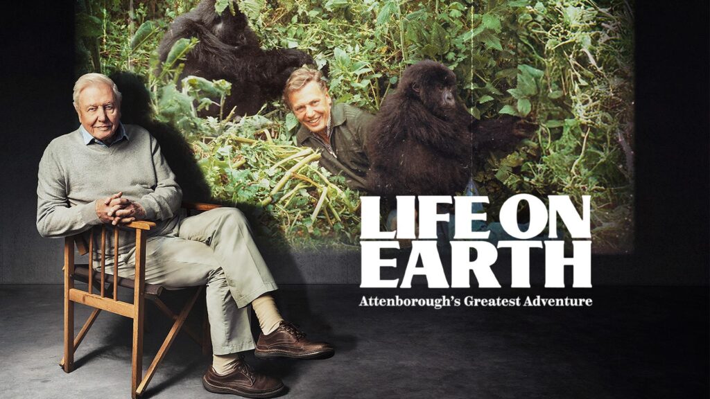 Celebrate David Attenborough's 100th!