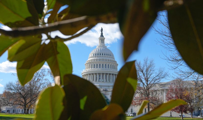 Alabama’s special congressional primary fields are finally set
