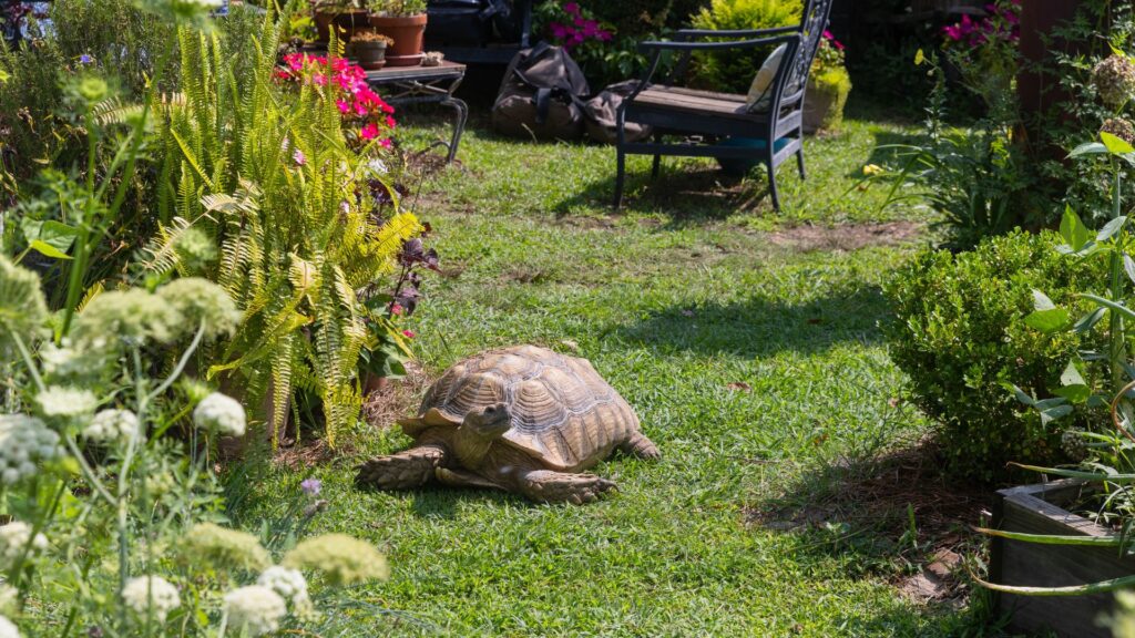 5 Garden Hacks That Make Your Life Easier